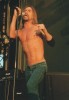 Iggy verwandelte das Southside Festival in ein "Fun House", Southside Festival 2001 | © LAUT AG (Fotograf: Martin Mengele)