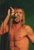 Iggy verwandelte das Southside Festival in ein "Fun House", Southside Festival 2001 | © LAUT AG (Fotograf: Martin Mengele)