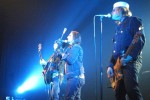 Die Turboneger im Kölner E-Werk am 27. Mai 2003., Ass Cobras live! | © LAUT AG (Fotograf: Martin Mengele)