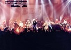 Elf Mann-Band direkt aus der Hauptstadt, Pressefotos | © Eastwest (Fotograf: )