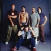 Freshe Bilder von Fred Durst und seiner Rapcore-Band, Pressefotos | © Motor (Fotograf: )