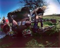Eine kleine, aber feine Band: Amplifier, Amplifier | © SPV (Fotograf: )