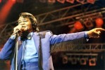 Herbie Hancock, Tina Turner und Co,  | © LAUT AG (Fotograf: )