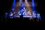 Green Day, Social Distortion und Co,  | © laut.de (Fotograf: Björn Jansen)
