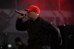 Durst und Borland begeisterten die Massen mit einem fulminanten Auftritt., Live bei Rock am Ring 2009 | © laut.de (Fotograf: Björn Jansen)