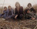 Elf Jahre alt und trotzdem jung geblieben: Rooney., Feinster Indie-Rock aus L.A. | © Rooney (Fotograf: )