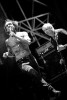 Iggy & The Stooges live 2011, Taubertal 2011 | © laut.de (Fotograf: Michael Grein)