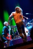 Iggy & The Stooges live 2011, Taubertal 2011 | © laut.de (Fotograf: Michael Grein)