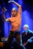 Iggy & The Stooges live 2011, Taubertal 2011 | © laut.de (Fotograf: Michael Grein)