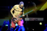 Die Red Hot Chili Peppers stellen "I'm With You" vor., 2011 live in Köln | © laut.de (Fotograf: Peter Wafzig)