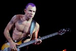 Kiedis, Flea und Co. rocken die Crowd., 2011 in der Kölnarena | © laut.de (Fotograf: Peter Wafzig)