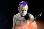 Kiedis, Flea und Co. rocken die Crowd., 2011 in der Kölnarena | © laut.de (Fotograf: Peter Wafzig)