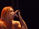 65 Jahre und agiler denn je: Iggy und seine Stooges beim Greenville Festival., Greenville Festival 2012 | © laut.de (Fotograf: Matthias Manthe)
