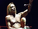 65 Jahre und agiler denn je: Iggy und seine Stooges beim Greenville Festival., Greenville Festival 2012 | © laut.de (Fotograf: Matthias Manthe)