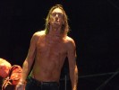 65 Jahre und agiler denn je: Iggy und seine Stooges beim Greenville Festival., Greenville Festival 2012 | © laut.de (Fotograf: Matthias Manthe)