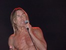 65 Jahre und agiler denn je: Iggy und seine Stooges beim Greenville Festival., Greenville Festival 2012 | © laut.de (Fotograf: Matthias Manthe)