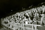 Auf der Freilichtbühne Stuttgart wurde nicht gejammert!, Stuttgart 2012 | © laut.de (Fotograf: Christoph Cordas)