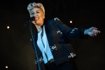 Depeche Mode, Die Toten Hosen und Co,  | © laut.de (Fotograf: Peter Wafzig)