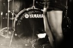 Psychobilly pur im Magnet-Club., Berlin 2013 | © laut.de (Fotograf: Andreas Koesler)