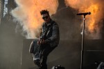 Hail To The King Of The Ring!, Rock Am Ring 2014 | © laut.de (Fotograf: Bjørn Jansen)