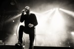 Social Distortion, Selig und Co,  | © laut.de (Fotograf: Andreas Koesler)