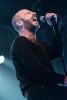 Social Distortion, Selig und Co,  | © laut.de (Fotograf: Andreas Koesler)