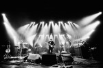 Der Londoner live am Main., Jahrhunderthalle Frankfurt, 2014 | © laut.de (Fotograf: Michael Grein)