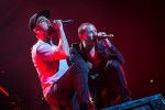 Ein würdiger Headliner bei der Festival-Premiere in Düsseldorf., Rock im Sektor, 2015 | © laut.de (Fotograf: Lars Krüger)