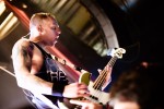 Die Punkrock-Amis am Bodensee., Lindau, Club Vaudeville 2015 | © laut.de (Fotograf: Bjørn Jansen)