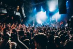 Andrew Stockdale und Co. in full effect!, Köln, Palladium, 2016 | © laut.de (Fotograf: Lars Krüger)