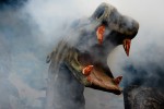 Die Bildergalerie zu Deutschlands größter Rocksause., Rock am Ring 2016 | © laut.de (Fotograf: Bjørn Jansen)
