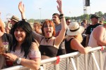 Sonne, Bier, dröhnende Boxen, Gewitter - das Zeppelinfeld in Nürnberg bebt drei Tage lang., Rock im Park, 2017 | © laut.de (Fotograf: Alexander Austel)