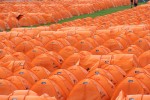 8 Tage Orange Feeling mit Irah, Barselona und der Sith-Invasion., Roskilde Festival, 2017 | © laut.de (Fotograf: Manuel Berger)
