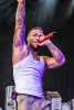 Vier Tage lang Party vor malerischer Bergkulisse mit Billy Talent, Beginner, Casper, The Offspring, Scooter, Biffy Clyro etc., Chiemsee Summer, Übersee, 2017 | © laut.de (Fotograf: Lothar Schmitt)