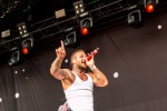 Vier Tage lang Party vor malerischer Bergkulisse mit Billy Talent, Beginner, Casper, The Offspring, Scooter, Biffy Clyro etc., Chiemsee Summer, Übersee, 2017 | © laut.de (Fotograf: Lothar Schmitt)