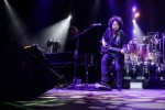 Toto und Weezer,  | © laut.de (Fotograf: Rainer Keuenhof)