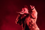 Casper, SXTN, Kraftwerk, Liam Gallagher, K.I.Z., David Guetta, The Weeknd etc. live im Berliner Olympiapark., Lollapalooza, Berlin, 2018 | © laut.de (Fotograf: Rainer Keuenhof)