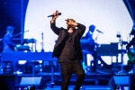 Wenn Herbies "Tumult" anrückt, ist die Arena bis zum letzten Platz ausverkauft., Lanxess Arena, Köln, 2019 | © laut.de (Fotograf: Rainer Keuenhof)