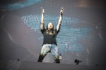 Foo Fighters, The Cure, Die Toten Hosen u.v.a.: Schaulaufen der Alternative-Stars., Hurricane, 2019, Scheeßel | © laut.de (Fotograf: Gina Wetzler)