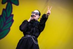 Das Festival mit Ufo361, Bausa, Billie Eilish, Casper/Marteria, Twenty One Pilots u.v.a., Lollapalooza, Berlin, 2019 | © laut.de (Fotograf: Rainer Keuenhof)
