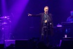 Der The Police-Star mit Blessuren in der Hauptstadt., Berlin, Mercedes-Benz Arena, 2019 | © laut.de (Fotograf: Rainer Keuenhof)