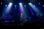 Der The Police-Star mit Blessuren in der Hauptstadt., Berlin, Mercedes-Benz Arena, 2019 | © laut.de (Fotograf: Rainer Keuenhof)