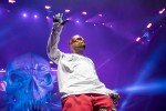 Alice Cooper, Rage Against The Machine und Co, | © laut.de (Fotograf: Rainer Keuenhof)