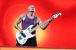 Jay-Z, Red Hot Chili Peppers und Co, | © laut.de (Fotograf: Björn Buddenbohm)