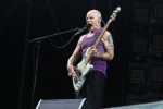 Jay-Z, Red Hot Chili Peppers und Co, | © laut.de (Fotograf: Björn Buddenbohm)