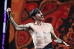 Jay-Z, Red Hot Chili Peppers und Co, | © laut.de (Fotograf: Björn Buddenbohm)