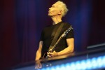 Die Ärzte live in der Trabrennbahn Bahrenfeld, Hamburg, 2022 | © laut.de (Fotograf: Björn Buddenbohm)