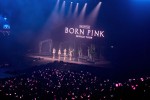 Blackpink und IVE (K-Pop), | © laut.de (Fotograf: Pressefoto)
