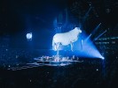 Pink Floyd-Hits und Demos in Köln., Köln, Lanxess Arena, 2023 | © laut.de (Fotograf: Alex Klug)