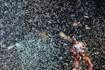Metallica, Slayer und Co, | © laut.de (Fotograf: Rainer Keuenhof)